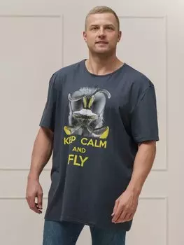 Футболка мужская Муха (серая)