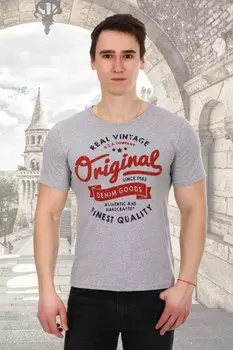 Футболка мужская Оригинал (серая) рр