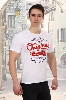 Футболка мужская Оригинал (в ассортименте) рр