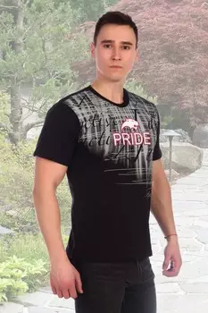 Футболка мужская Прайд