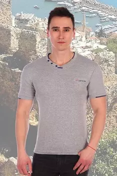 Футболка мужская Робби (серая)