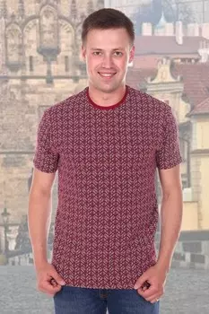 Футболка мужская Роберт (бордовая) рр