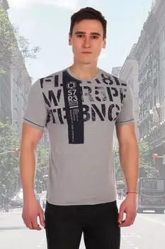 Футболка мужская Ролан (серая)