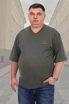 Футболка мужская Станислав (хаки) рр