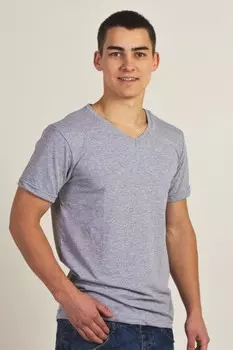 Футболка мужская Стив (серая)