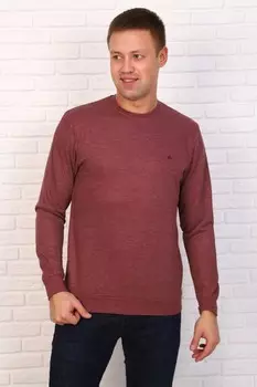 Футболка мужская Женя (бордовая)