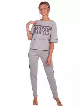 Костюм трикотажный Дельта (серый) рр