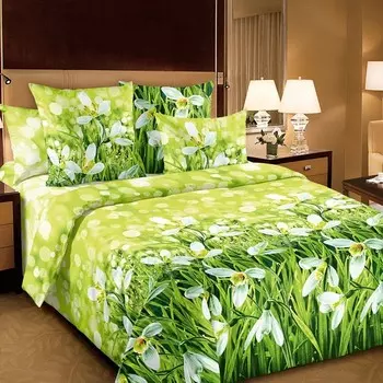 Набор из 2-х наволочек 50x70 Подснежники зк