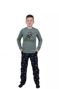 Пижама детская Динозавр