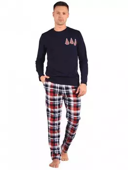 Пижама мужская Араторн