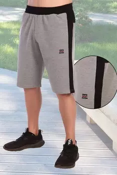 Шорты мужские Актив (серые)