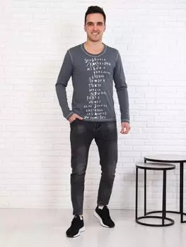 Свитшот мужской Честер (антрацит)