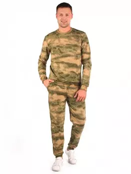 Толстовка мужская Альбион