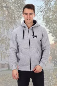 Толстовка мужская Алекс (серая)