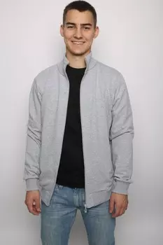 Толстовка мужская Девин