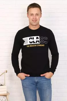 Толстовка мужская Егор (черная)