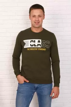 Толстовка мужская Егор (хаки) рр