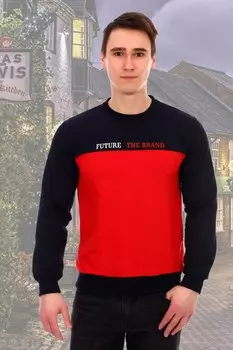 Толстовка мужская Скот рр