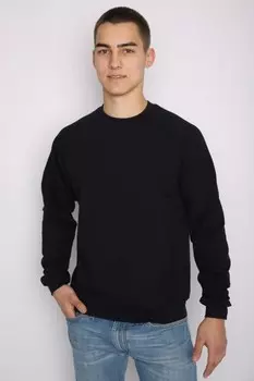 Толстовка мужская Велдон (черная) рр