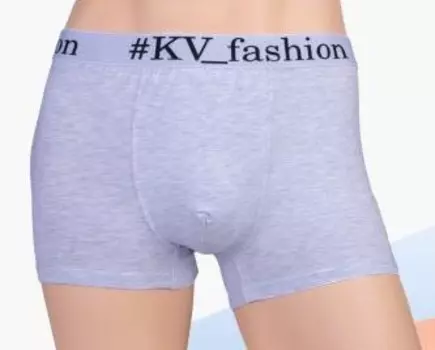 Трусы мужские Фэшн (серые) зк