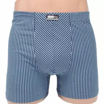 Трусы мужские Матео (в ассортименте) зк