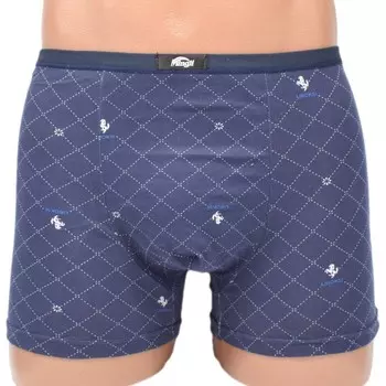 Трусы мужские Стоун (в ассортименте) зк