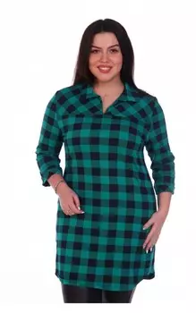 Туника трикотажная Адилин (зеленая)