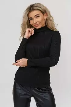 Водолазка трикотажная Аланис (черная)