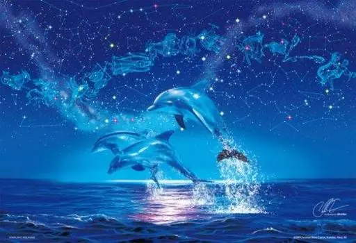 1000 Micropiece Starlight Dolphin M81-711