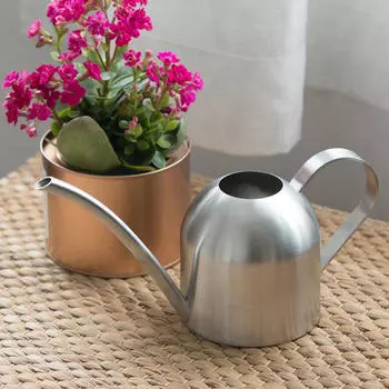 1000 мл лейка из нержавеющей стали комнатные растения длинный рот цветок бонсай суккуленты горшок серебряный