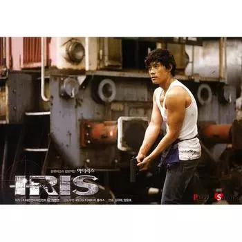 1000 piece jigsaw puzzle / Iris (Kim Hyun-jun), popular Korean puzzle