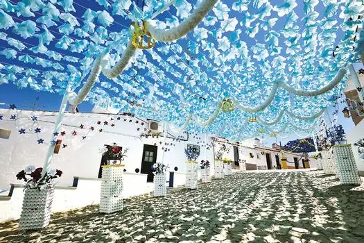 1000 piece jigsaw puzzle Light blue flowers dancing in the sky (Portugal) (50x75cm)