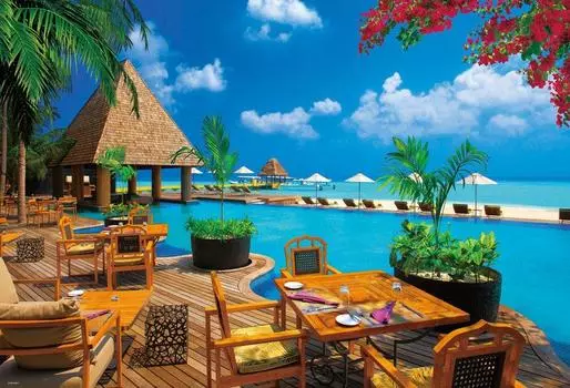 1000 Piece Jigsaw Puzzle Overseas Landscape Beachside Branch (49x72cm)