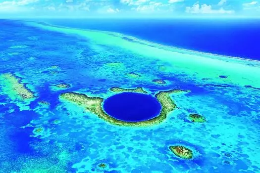 1000 Piece Jigsaw Puzzle Puzzle Master Blue Hole Berries Aim! - (50x75cm)