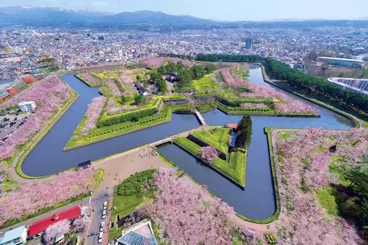 1000 Piece Jigsaw Puzzle Puzzle Master Cherry Blossom View of Goryokaku Hokkaido Aim! - (50x75cm)