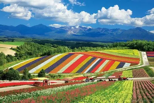 1000 Piece Jigsaw Puzzle Shikisai no Oka and Tokachidake Mountain Range (Hokkaido) (50x75cm) 10-1422
