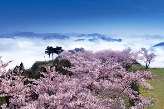 1000 Piece Jigsaw Puzzle Takeda Castle Ruins with Cherry Blossoms Aim for Puzzle Master - Hyogo! (50x75cm)