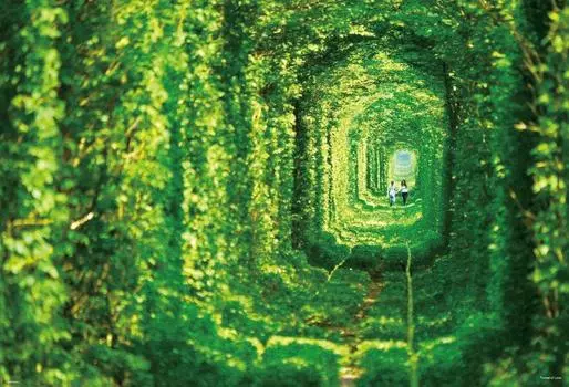1000 Piece Jigsaw Puzzle Tunnel of Love (49x72cm)