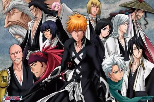 1000 pieces BLEACH Shinshu Soul Society (50cmx75cm)