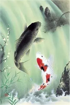 1000 pieces couple carp waterfall streamer (50x75cm)