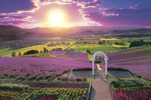 1000 Pieces Puzzle Master Furano at Dusk Hokkaido Aim! - (50x75cm)
