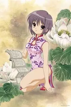 1000 предметов «Меланхолия Харухи Судзумии» Китайское платье (50x75cm)