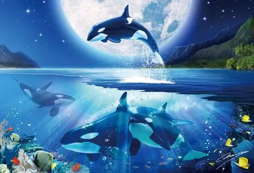 1000 шт. Синий Океан Лунный Свет (49x72см)