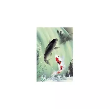 1000 штук пара карпов водопад стример (50x75cm)