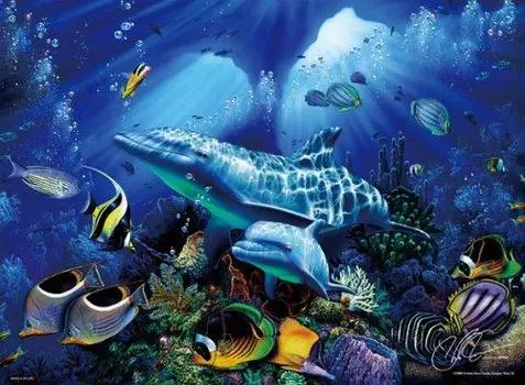 1000 Small Pieces Miracle of Life S81-603