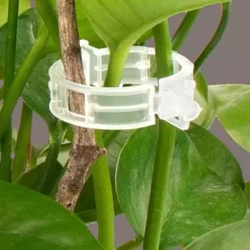 100/200/300 шт., зажимы для поддержки растений, пластиковые белые, зеленые, садовые зажимы для растений, фиксатор баклажанов для перца 100pcs белый