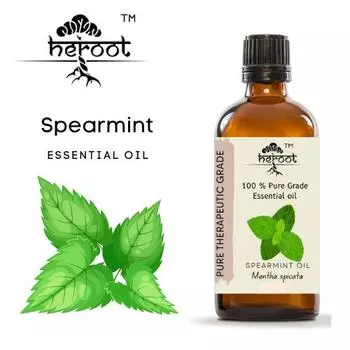 100% чистое эфирное масло мяты перечной натуральной терапевтической ароматерапии Volume=10ml