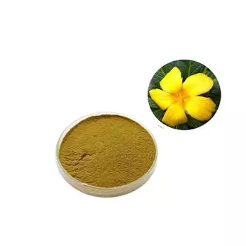 100 г экстракта листьев дамианы 10:1 Порошок (Тернера раскидистая) Чистое высокое качество