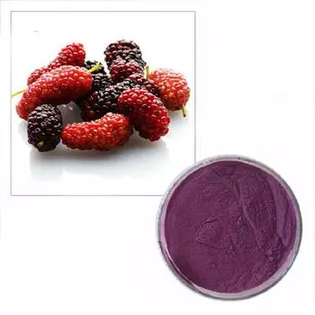 100 г органического порошка экстракта сока шелковицы 10:1