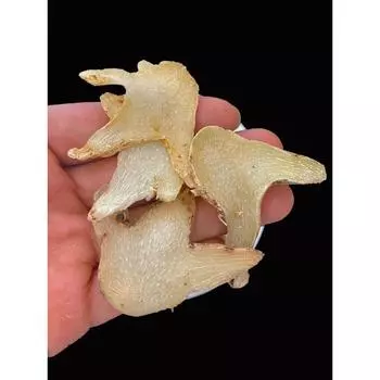 100 г органической сушеной Bletilla Striata Bletilla псевдобульбы корневище Bletillae Bai Ji